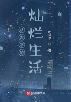 从大学的灿烂生活在线阅读