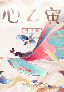 心乙寅升级记