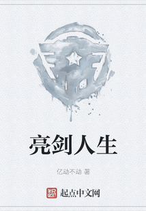 亮劍人生