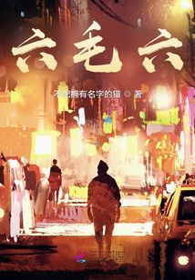 六毛六