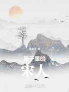 箱子里的宋人在线阅读