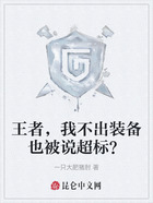 王者,我不出装备也被说超标?在线阅读