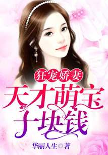 狂宠娇妻:天才萌宝十块钱