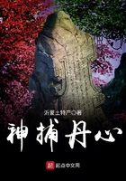 神捕丹心在線閱讀
