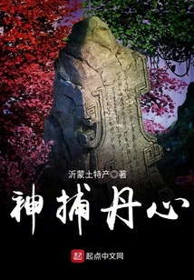 神捕丹心