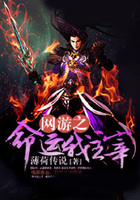 網(wǎng)游之命運我主宰在線閱讀