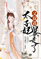 太子妃又双叒暴走了在线阅读