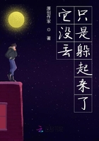 它沒丟只是躲起來了在線閱讀