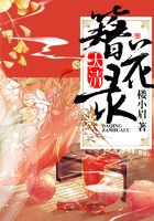 大清簪花录在线阅读