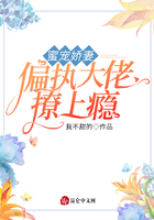 蜜宠娇妻:偏执大佬撩上瘾!