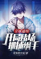 全球通緝：開局賭場，抓捕綱手在線閱讀