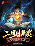 二周目萧炎,完美通关斗破!在线阅读
