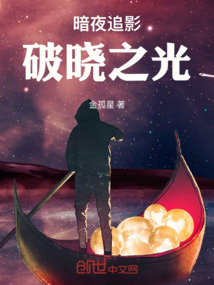 暗夜追影：破曉之光