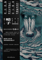 暗子在线阅读