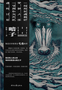 暗子