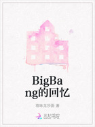 BigBang的回忆在线阅读