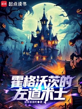 霍格沃茨的左道术士在线阅读