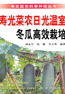 壽光菜農(nóng)日光溫室冬瓜高效栽培