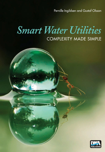 Smart Water Utilities