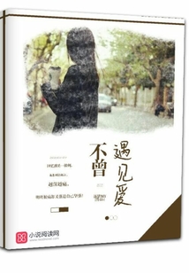 不曾遇見愛