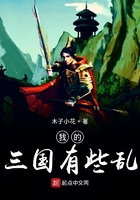我的三国有些乱在线阅读