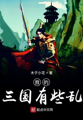 我的三国有些乱在线阅读