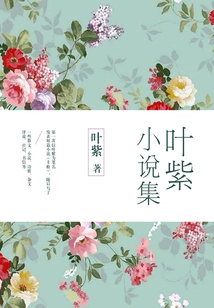 葉紫小說集