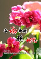 春雨来时倍相思