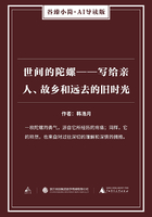 世间的陀螺：写给亲人、故乡和远去的旧时光在线阅读