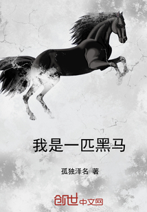 我是一匹黑馬