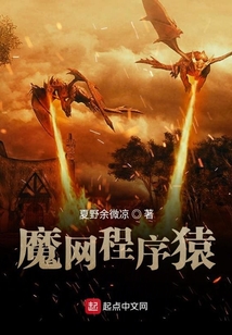 魔網程序猿