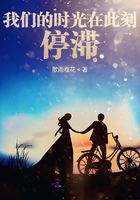 我們的時光在此刻停滯在線閱讀