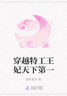 穿越特工王妃天下第一