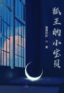 狐王的小寶貝