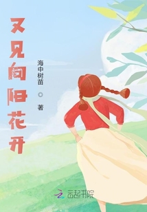 又見向陽花開