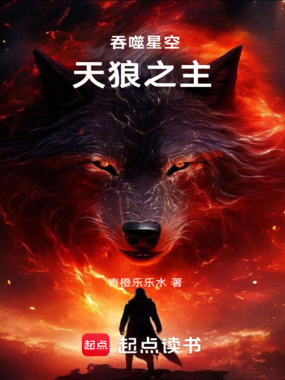 吞噬星空:天狼之主在线阅读