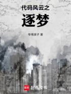 代碼風云之逐夢在線閱讀
