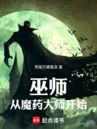 巫师：从魔药大师开始！在线阅读