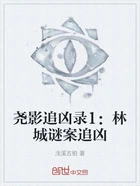 尧影追凶录1:林城谜案追凶在线阅读