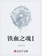 铁血之魂1在线阅读