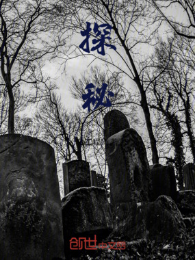 探秘在线阅读