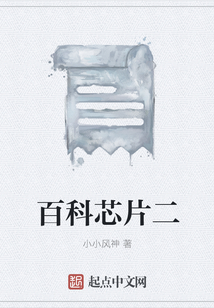 百科芯片二
