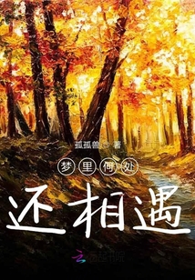 夢里何處還相遇