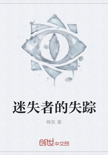 迷失者的失蹤