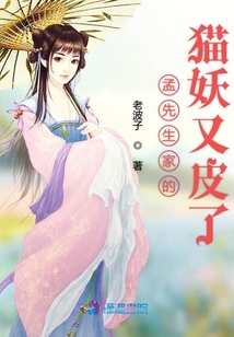 孟先生家的貓妖又皮了