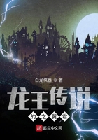 龙王传说的之翼君