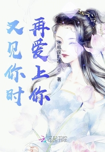 又見你時再愛上你
