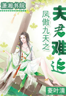 鳳傲九天之夫君難追