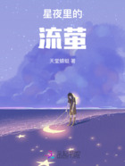 星夜里的流萤