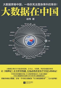 大數(shù)據(jù)在中國